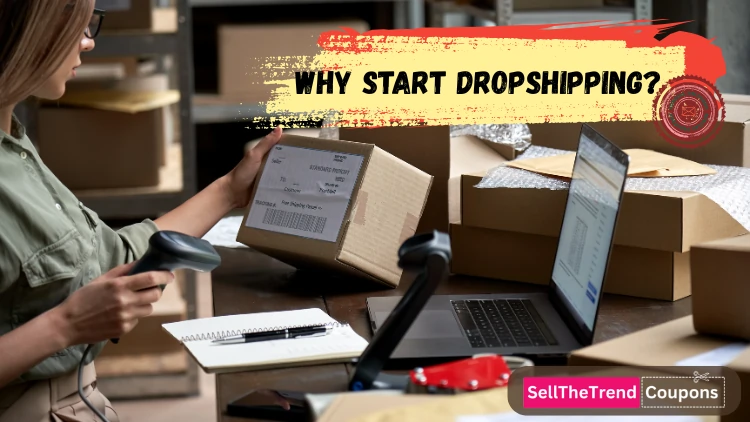 Why Start Dropshipping